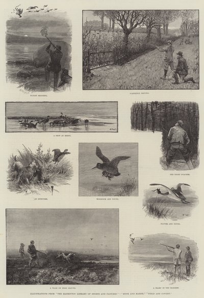 スポーツと娯楽のバドミントン図書館、ムーアとマーシュ、フィールドとコバートのイラスト 作： Charles Whymper